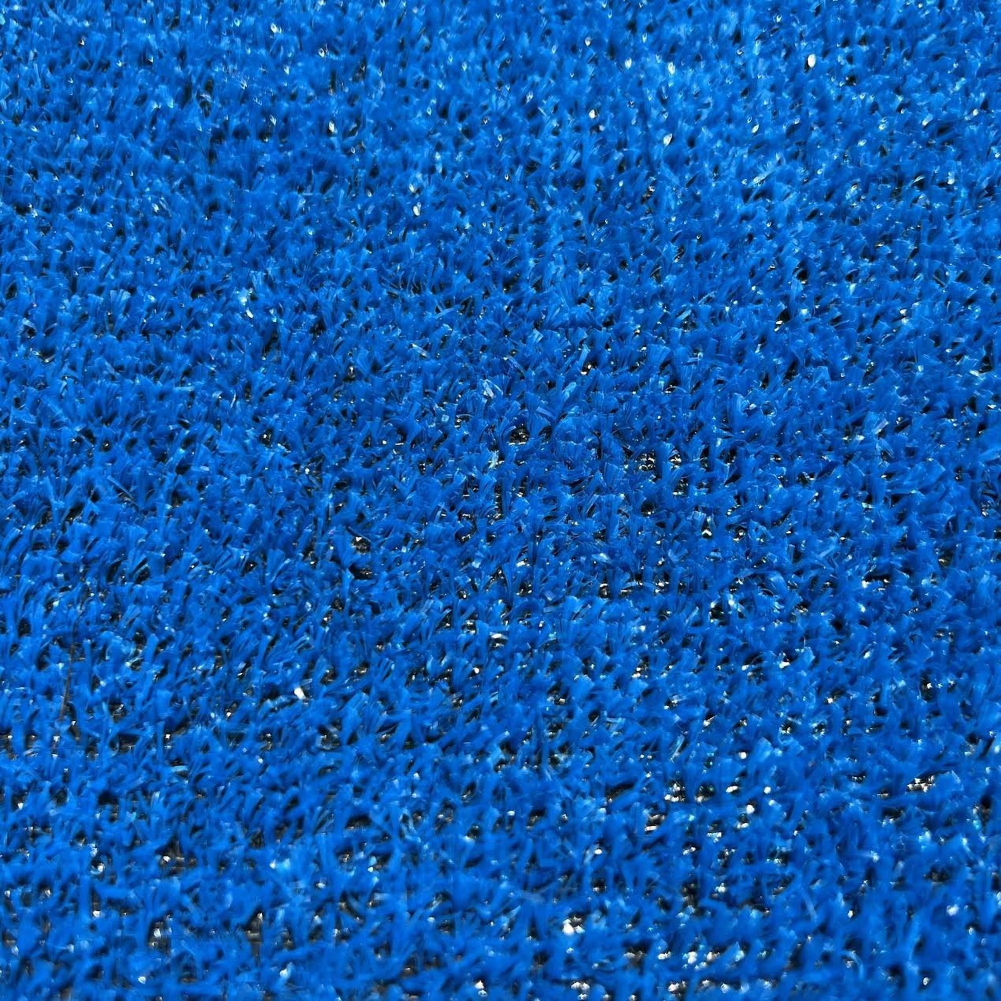Cobalt Blue Astroturf
