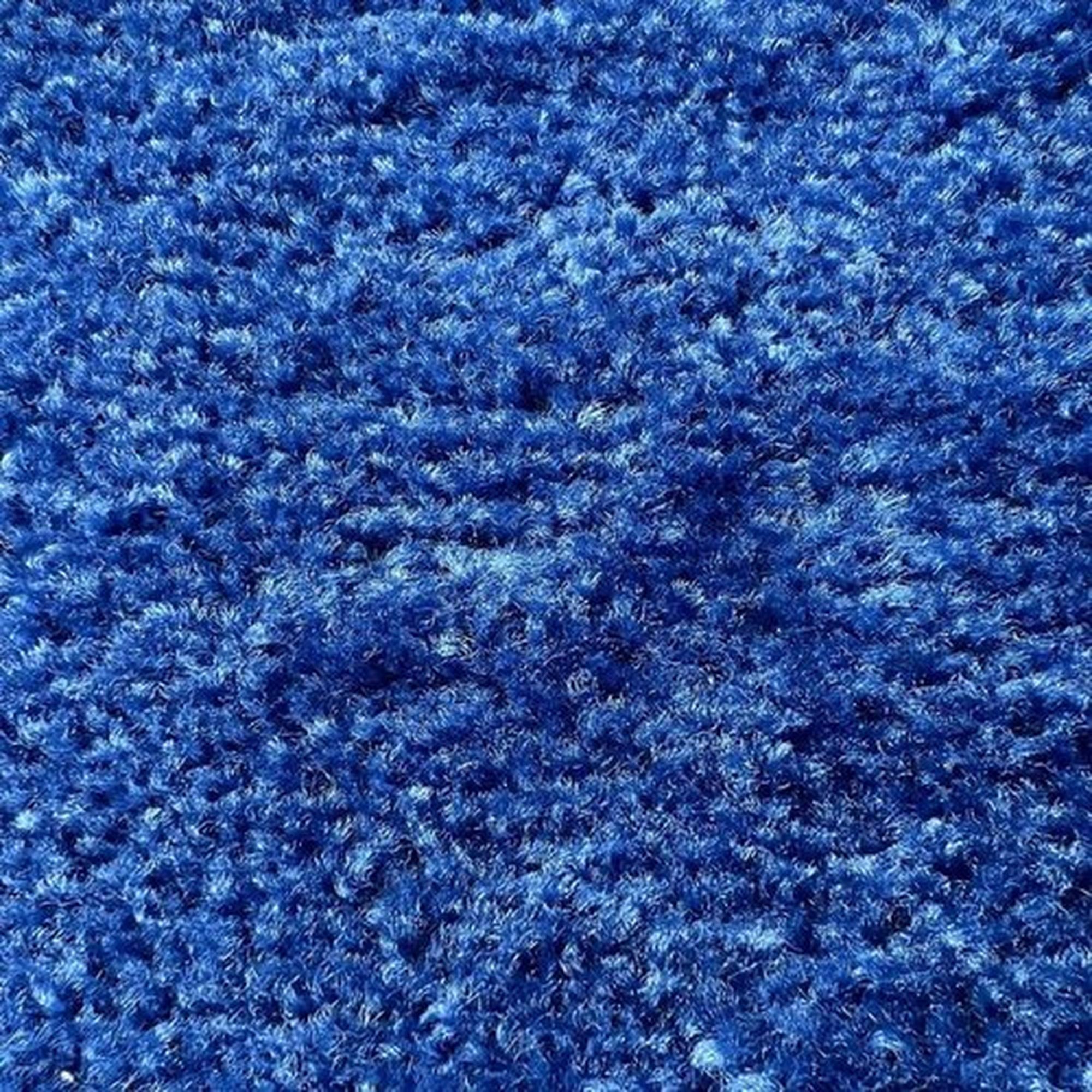 Cobalt Carpet