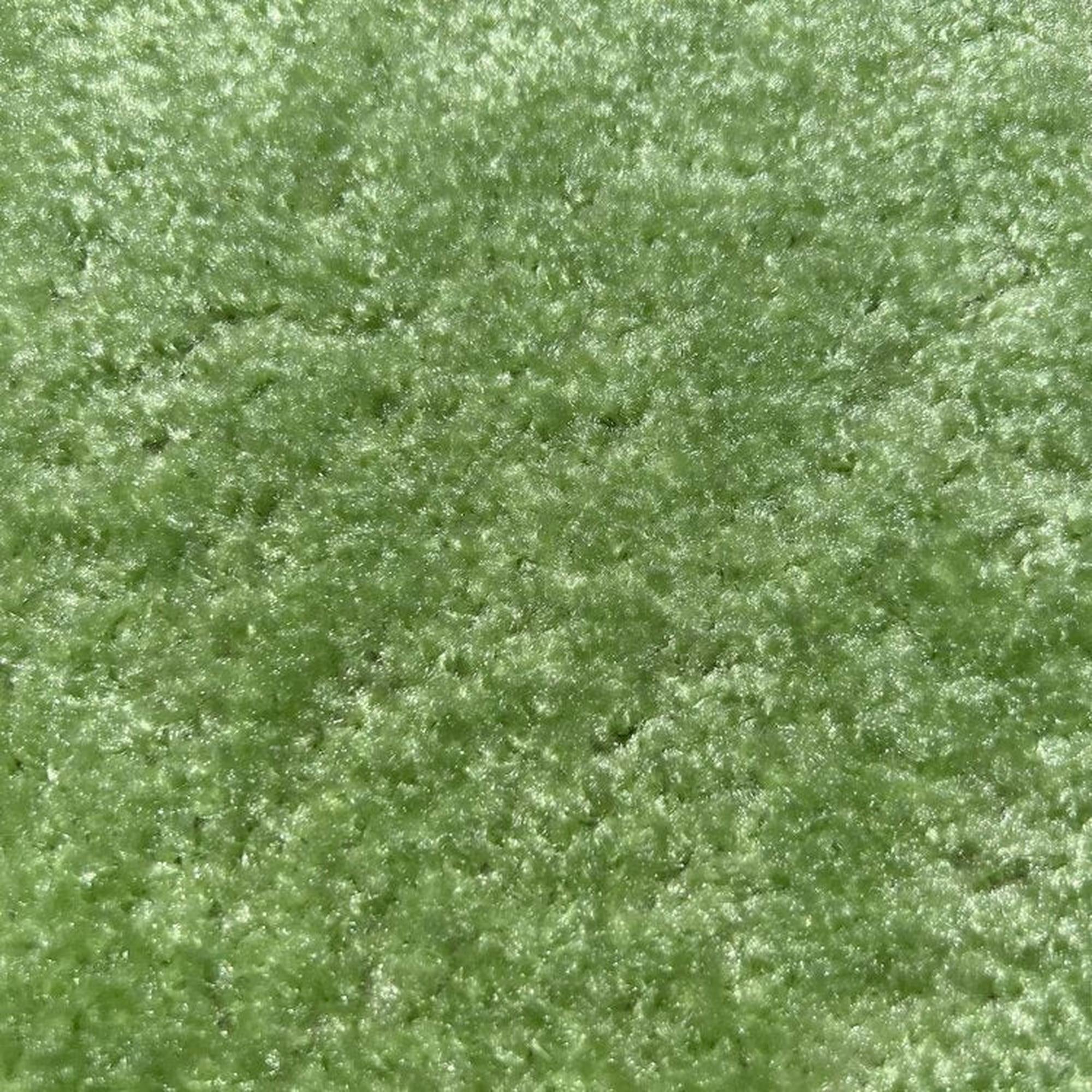 Jalepeno Carpet