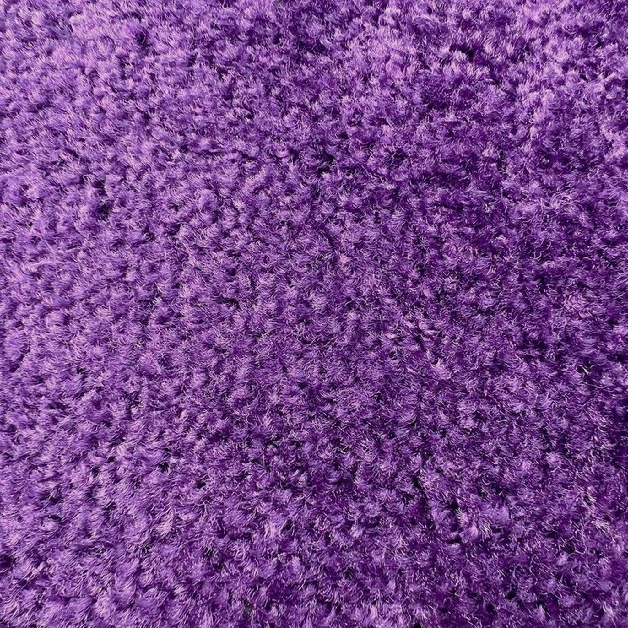 Purple Carpet